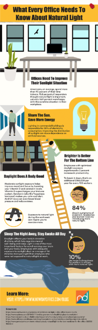 Benefits of Natural Light in the Workplace | Blog | New Day
